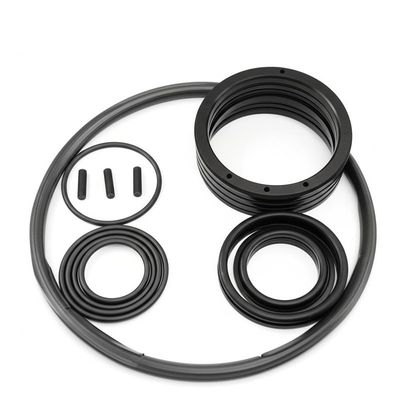Prezzo buono Customized Black Excavator Cylinder Seal Kit for Your Business Needs in linea