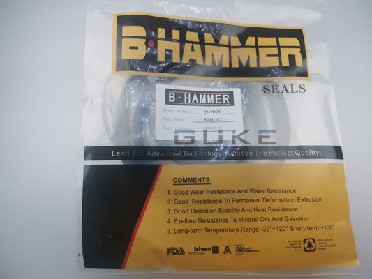 Prezzo buono Corredo VOE 14589143 della guarnizione di riparazione del cilindro dell'ASTA dell'escavatore EC460 di in linea