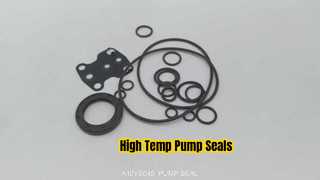 Kit di guarnizioni di riparazione per resistenza alle alte temperature per motore Rexroth Pumr A10vso45 A10vs045
